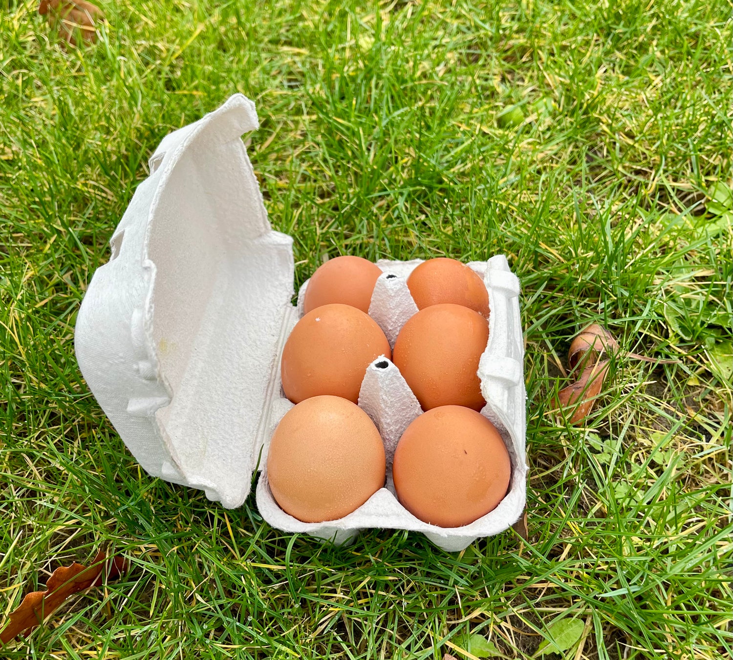 Boite oeuf x12 Les paniers Lillois