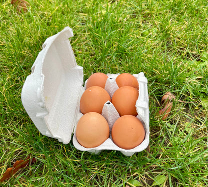 Boite oeuf x12 Les paniers Lillois