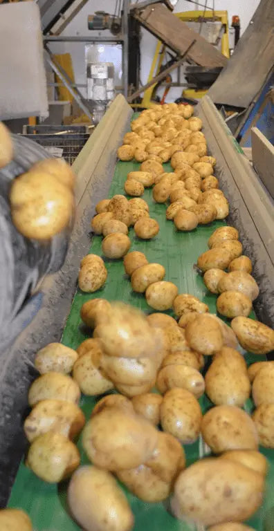 Sac de pommes de terre 5 kg Les paniers Lillois