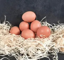 Boite de 6 oeufs fermier Les paniers Lillois